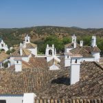 01-IMG_4431